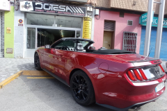 Ford Mustang S550 Cabrio 